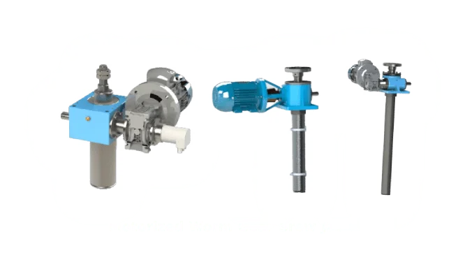 motrized-worm-gear-srew-check